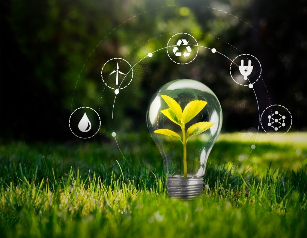 Produtos sustentáveis certificados