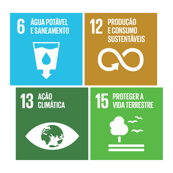 ISO 14001 alinhada com os Objetivos de Desenvolvimento Sustentável