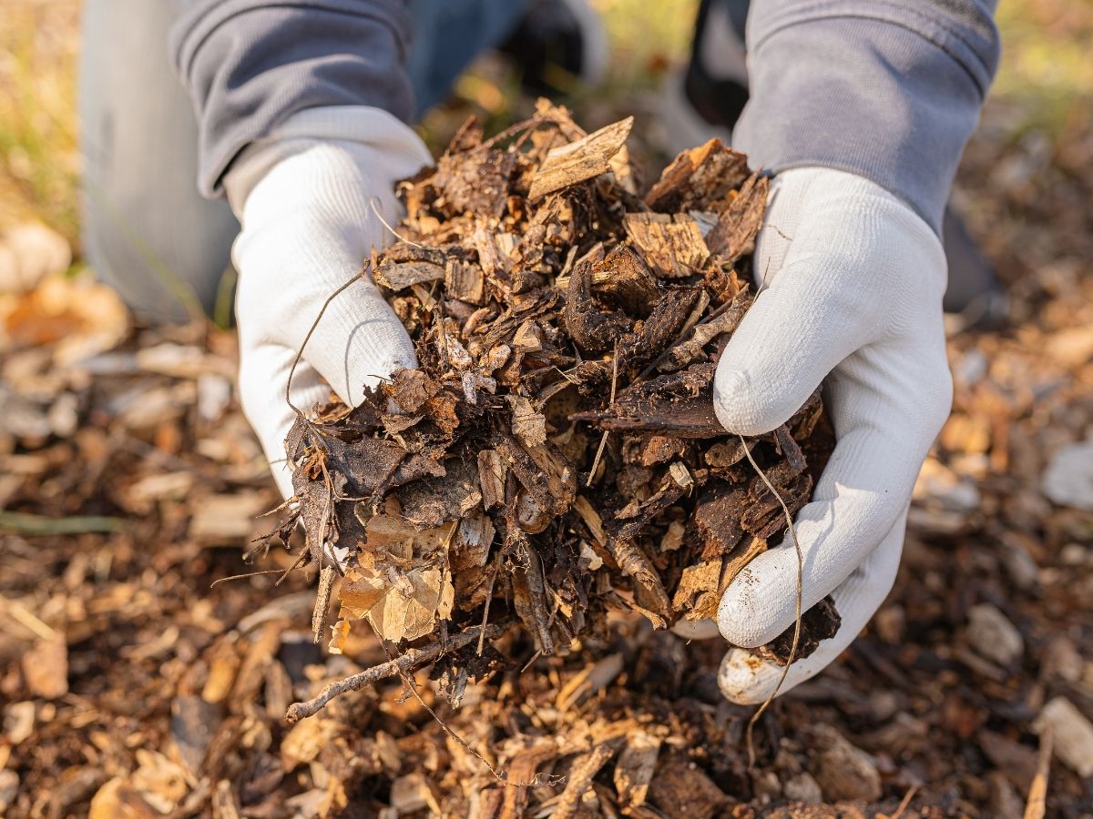 Produto biobased certificado OK biobased — TÜV AUSTRIA Iberia