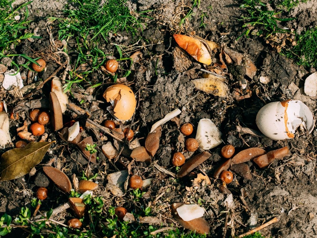 Produto biodegradável certificado OK biodegradable — TÜV AUSTRIA Iberia