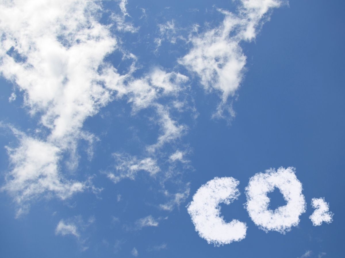 Produto com carbono renovável certificado OK renewable — TÜV AUSTRIA Iberia