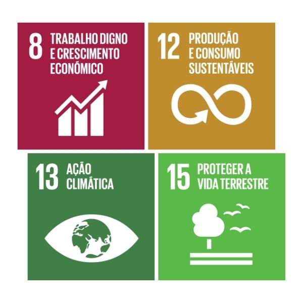 Objetivos de Desenvolvimento Sustentável — FSC® Cadeia de Custódia